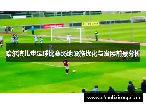 哈尔滨儿童足球比赛场地设施优化与发展前景分析